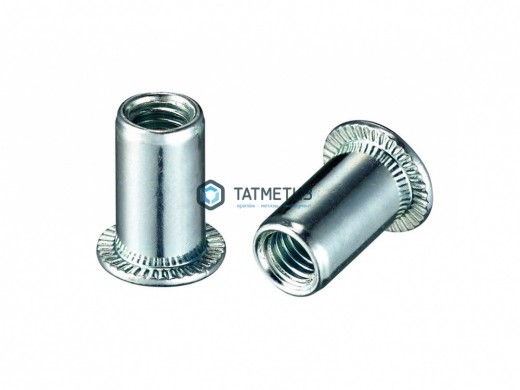 Заклепка резьбовая цилиндрический борт М10  (200 шт/уп)  KL |  «ТАТМЕТИЗ» Заклепка резьбовая цилиндрический борт М10  (200 шт/уп)  KL -  магазин крепежа «ТАТМЕТИЗ»