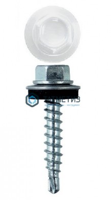 Саморез окраш.кров. 4,8х29 /9003/  (250 шт/уп) D |  «ТАТМЕТИЗ» Саморез окраш.кров. 4,8х29 /9003/  (250 шт/уп) D -  магазин крепежа «ТАТМЕТИЗ»