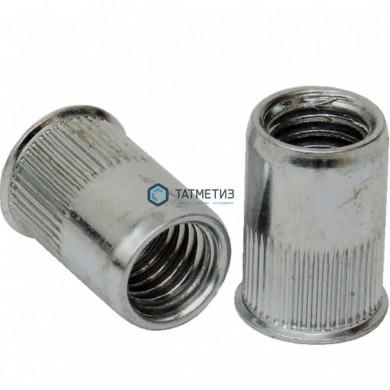 Заклепка-гайка с уменьш.потай. гол., полушестигр., глух. АРТ 1028 А2 M 6X22 |  «ТАТМЕТИЗ» Заклепка-гайка с уменьш.потай. гол., полушестигр., глух. АРТ 1028 А2 M 6X22 -  магазин крепежа «ТАТМЕТИЗ»
